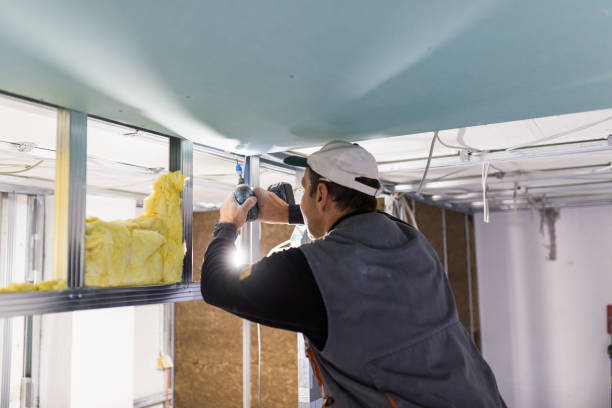 Best Cellulose Insulation in Grove City, PA